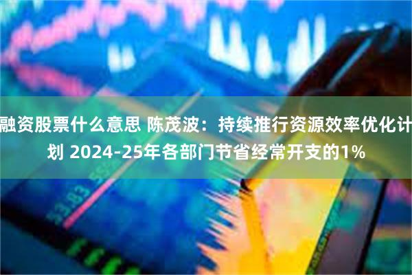 融资股票什么意思 陈茂波：持续推行资源效率优化计划 2024-25年各部门节省经常开支的1%