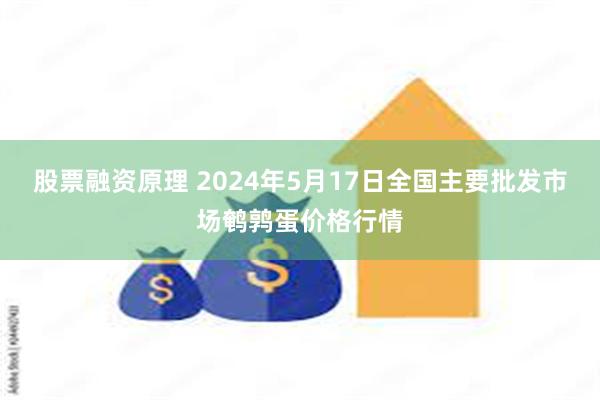 股票融资原理 2024年5月17日全国主要批发市场鹌鹑蛋价格行情