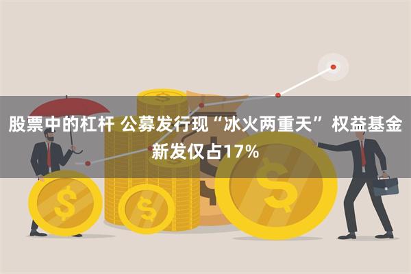 股票中的杠杆 公募发行现“冰火两重天” 权益基金新发仅占17%