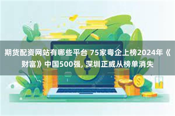 期货配资网站有哪些平台 75家粤企上榜2024年《财富》中国500强, 深圳正威从榜单消失