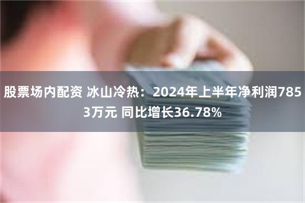 股票场内配资 冰山冷热：2024年上半年净利润7853万元 同比增长36.78%