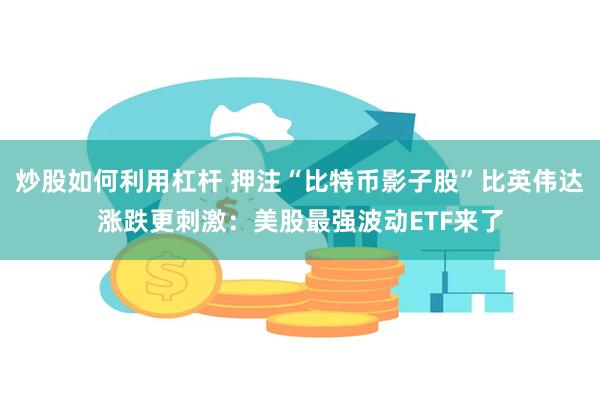 炒股如何利用杠杆 押注“比特币影子股”比英伟达涨跌更刺激：美股最强波动ETF来了