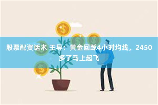 股票配资话术 王导：黄金回踩4小时均线，2450多了马上起飞