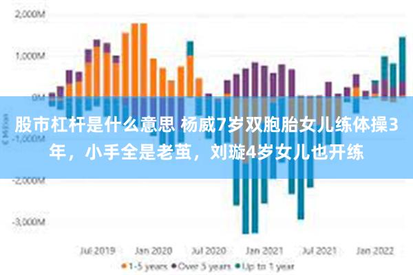 股市杠杆是什么意思 杨威7岁双胞胎女儿练体操3年，小手全是老茧，刘璇4岁女儿也开练