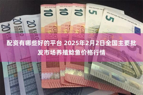 配资有哪些好的平台 2025年2月2日全国主要批发市场养殖鲶鱼价格行情