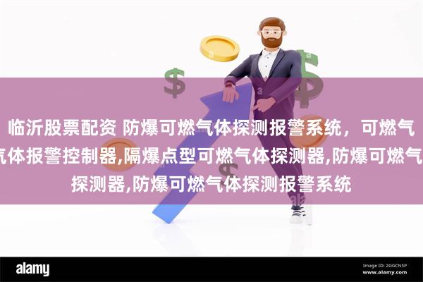 临沂股票配资 防爆可燃气体探测报警系统，可燃气体探测器,可燃气体报警控制器,隔爆点型可燃气体探测器,防爆可燃气体探测报警系统