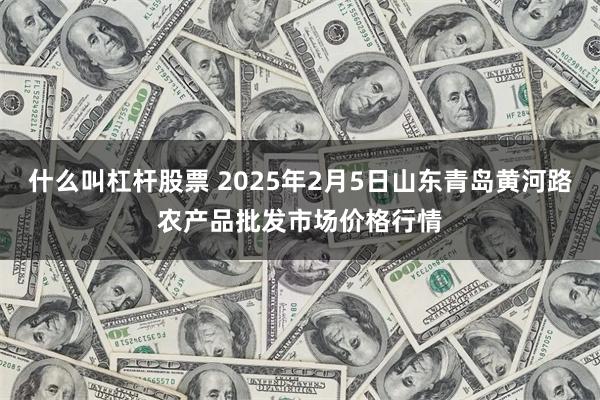 什么叫杠杆股票 2025年2月5日山东青岛黄河路农产品批发市场价格行情