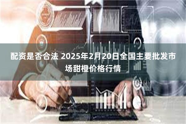 配资是否合法 2025年2月20日全国主要批发市场甜橙价格行情