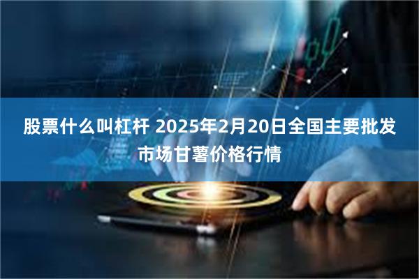 股票什么叫杠杆 2025年2月20日全国主要批发市场甘薯价格行情