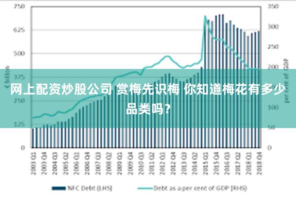 网上配资炒股公司 赏梅先识梅 你知道梅花有多少品类吗？