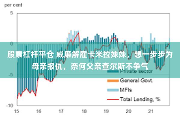 股票杠杆平仓 威廉解雇卡米拉妹妹，想一步步为母亲报仇，奈何父亲查尔斯不争气